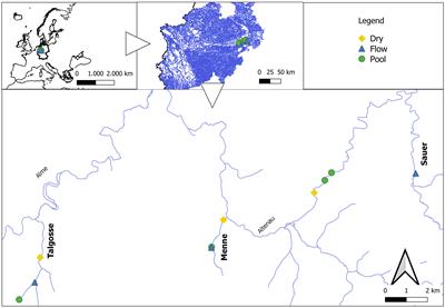 Non-perennial rivers and streams in extreme hydrological conditions—comparing the effectiveness of amplicon sequencing and digital microscopy for diatom biodiversity appraisal